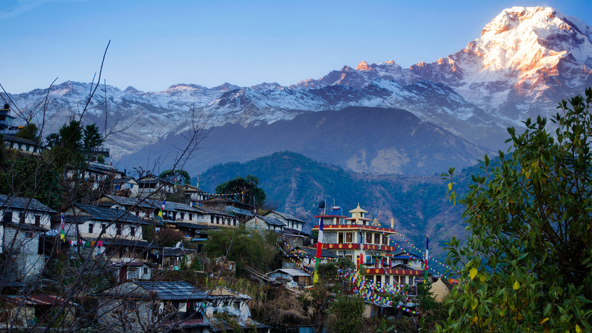 Nepal medical college